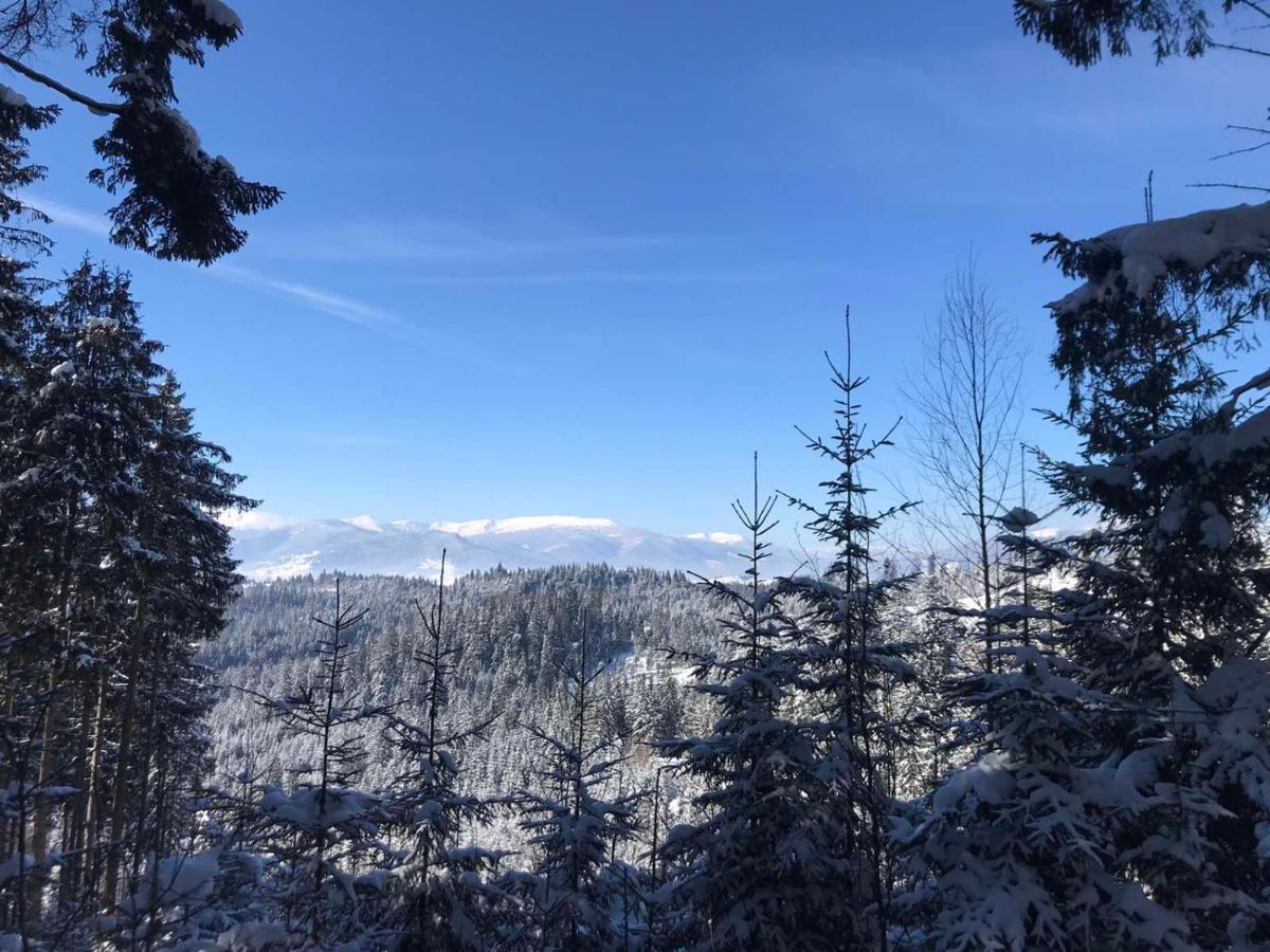 Hotel Novoe Shale Yablunytsya Bagian luar foto