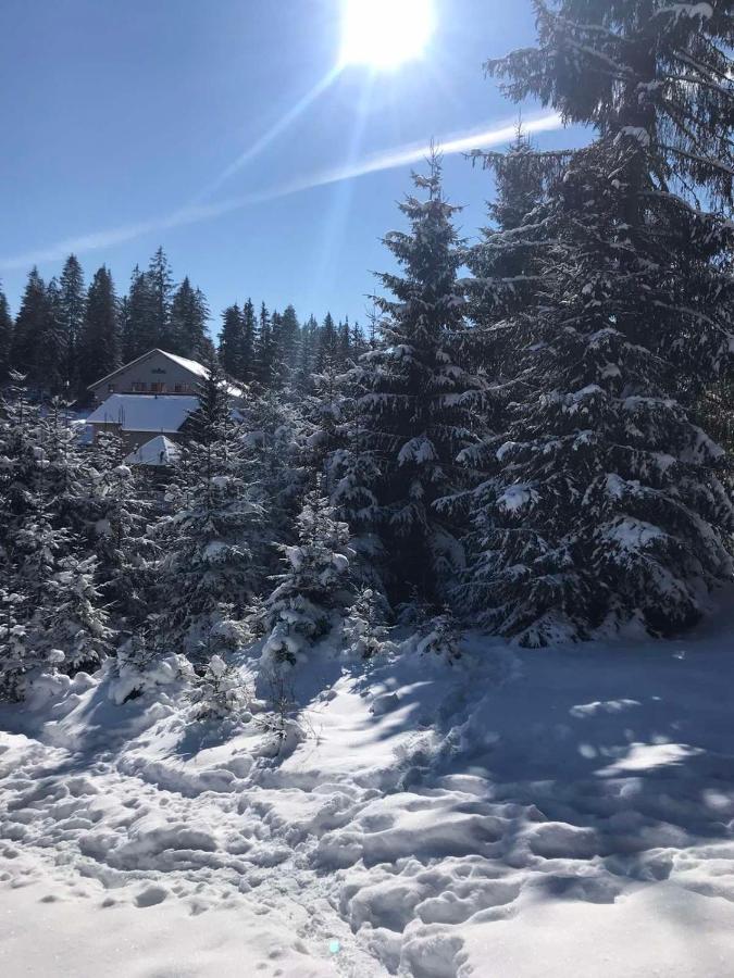 Hotel Novoe Shale Yablunytsya Bagian luar foto