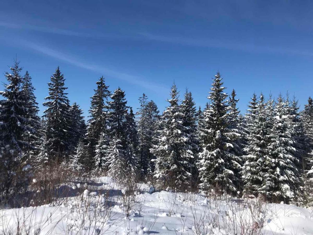 Hotel Novoe Shale Yablunytsya Bagian luar foto
