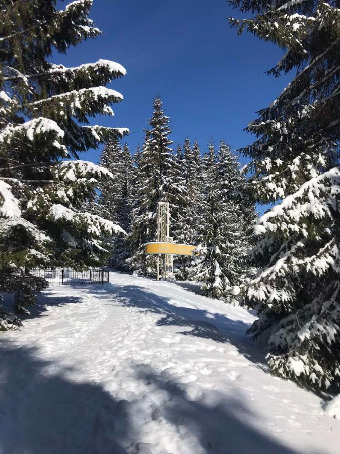 Hotel Novoe Shale Yablunytsya Bagian luar foto