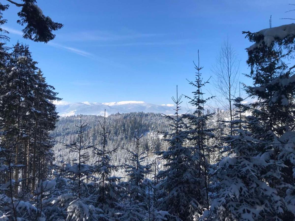 Hotel Novoe Shale Yablunytsya Bagian luar foto