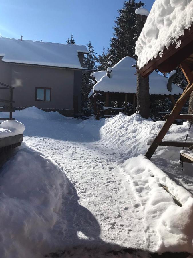 Hotel Novoe Shale Yablunytsya Bagian luar foto