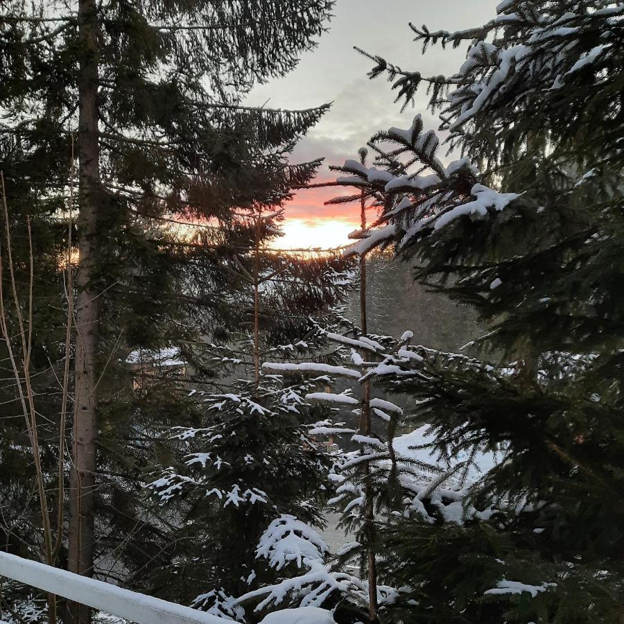 Hotel Novoe Shale Yablunytsya Bagian luar foto