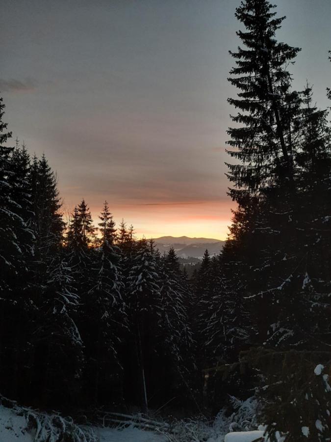Hotel Novoe Shale Yablunytsya Bagian luar foto