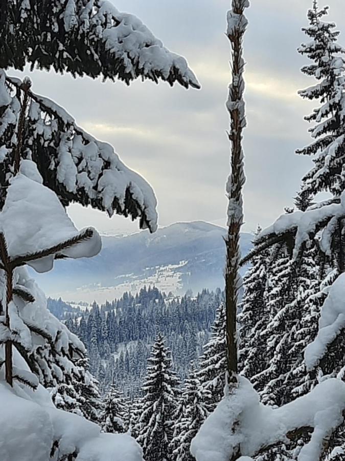 Hotel Novoe Shale Yablunytsya Bagian luar foto