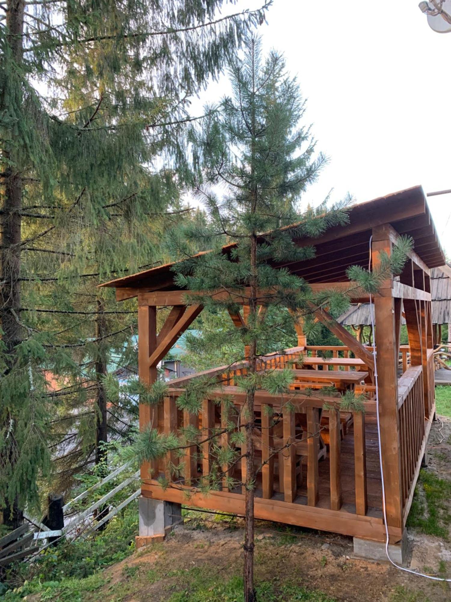 Hotel Novoe Shale Yablunytsya Bagian luar foto